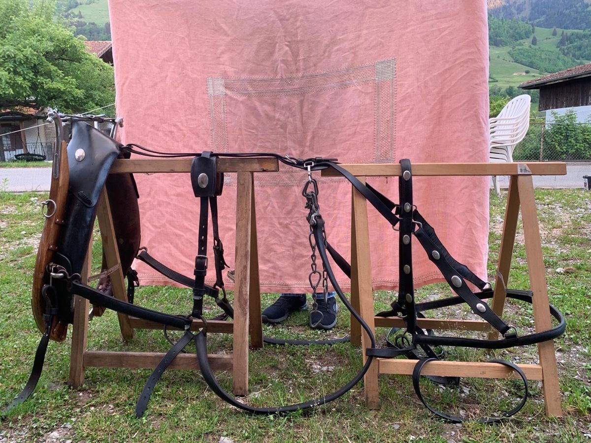 Kutschen: Collier cheval – Gebraucht aus Albeuve von pan_bbw9 2