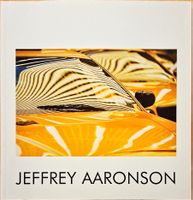Jeffrey Aaronson, Subconscious City, Fotobuch, Top!