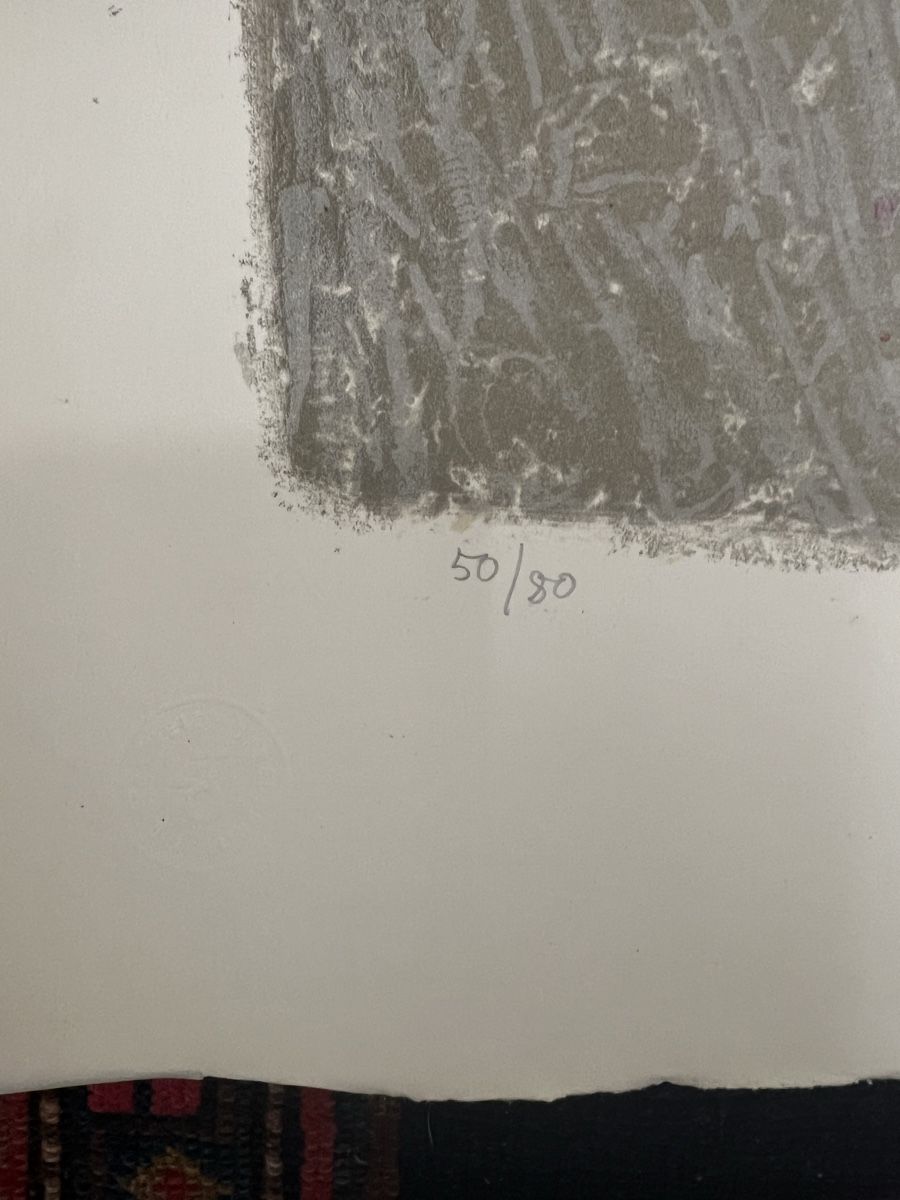 Arts picturaux & lithographies: Marco Richterich original – D'occasion à Zürich par jao_2bx7 4