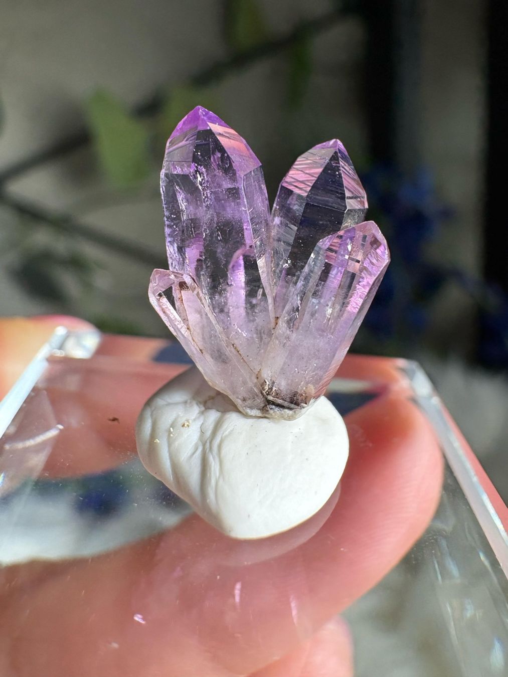 Pietre preziose: Veracruz Amethyst – Nuovo (secondo la descrizione) da Neuheim venduto da m.hald 7