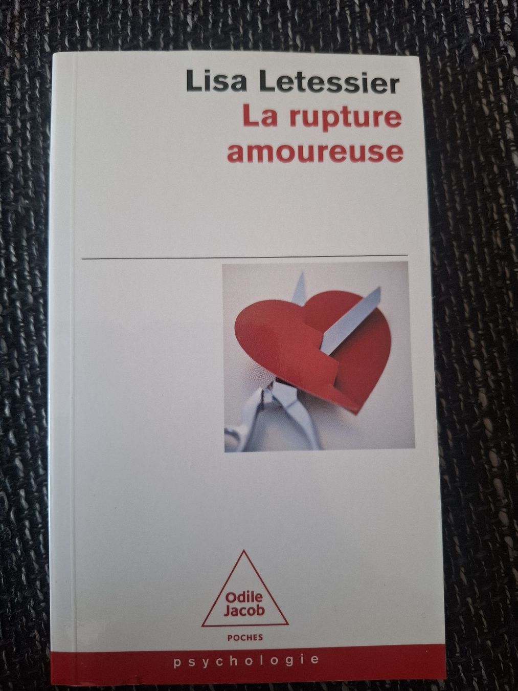 Libri: La rupture amoureuse de Lisa Letessier – Nuovo (secondo la descrizione) da Morges venduto da G33K43V3R