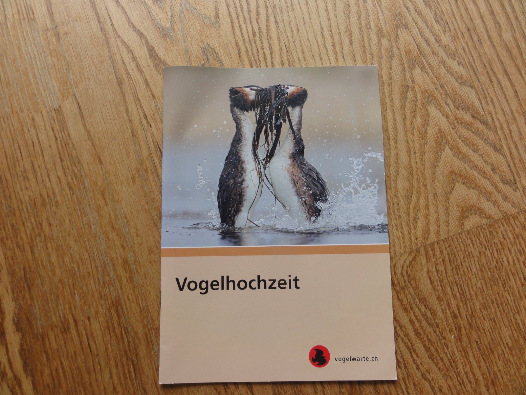 Libri: Die Vogelhochzeit – Nuovo (secondo la descrizione) da Riedholz venduto da Taweva