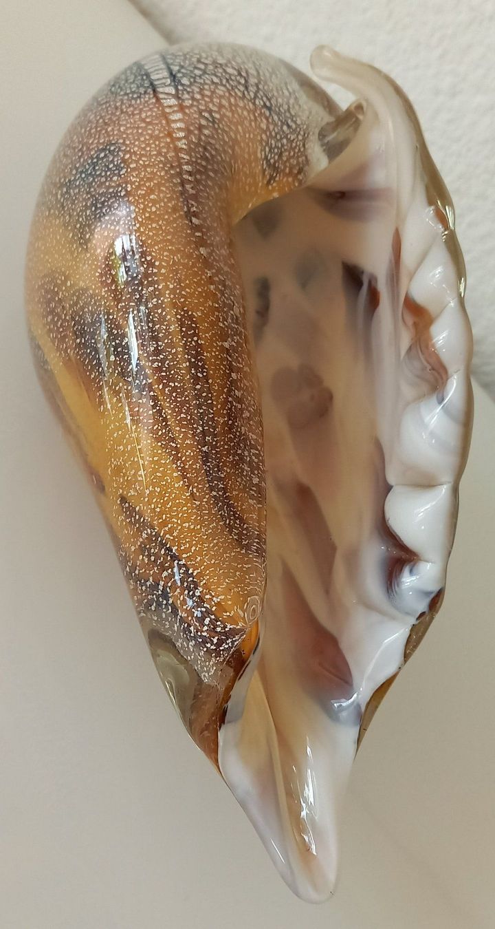 Fossili: Wunderschöne Muschel aus Muranoglas – Usato da Wallisellen venduto da prada008 2