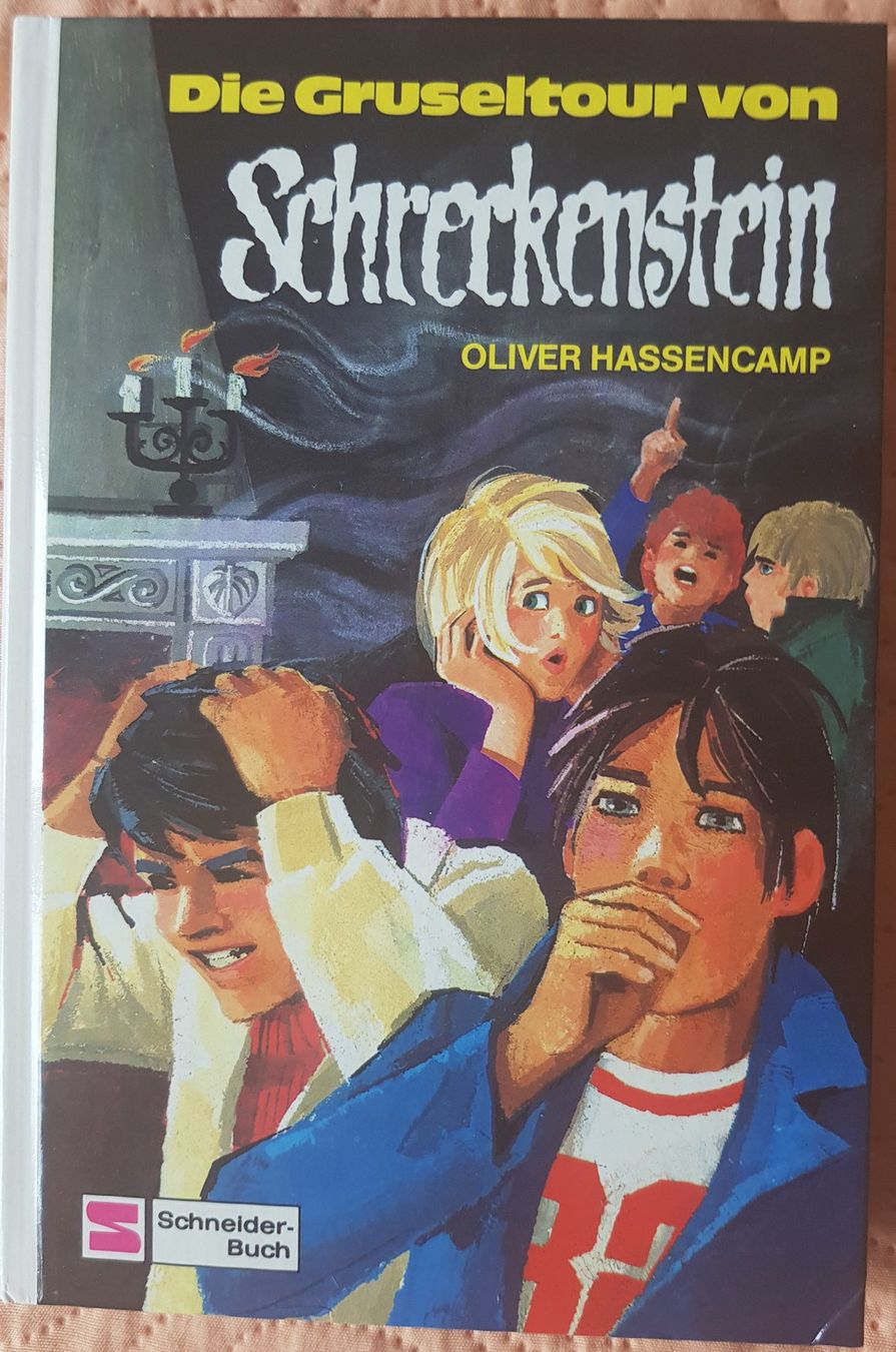 Libri: Die Gruseltour von Schreckenstein - Schneider Bücher – Usato da thun venduto da lucky_manxy