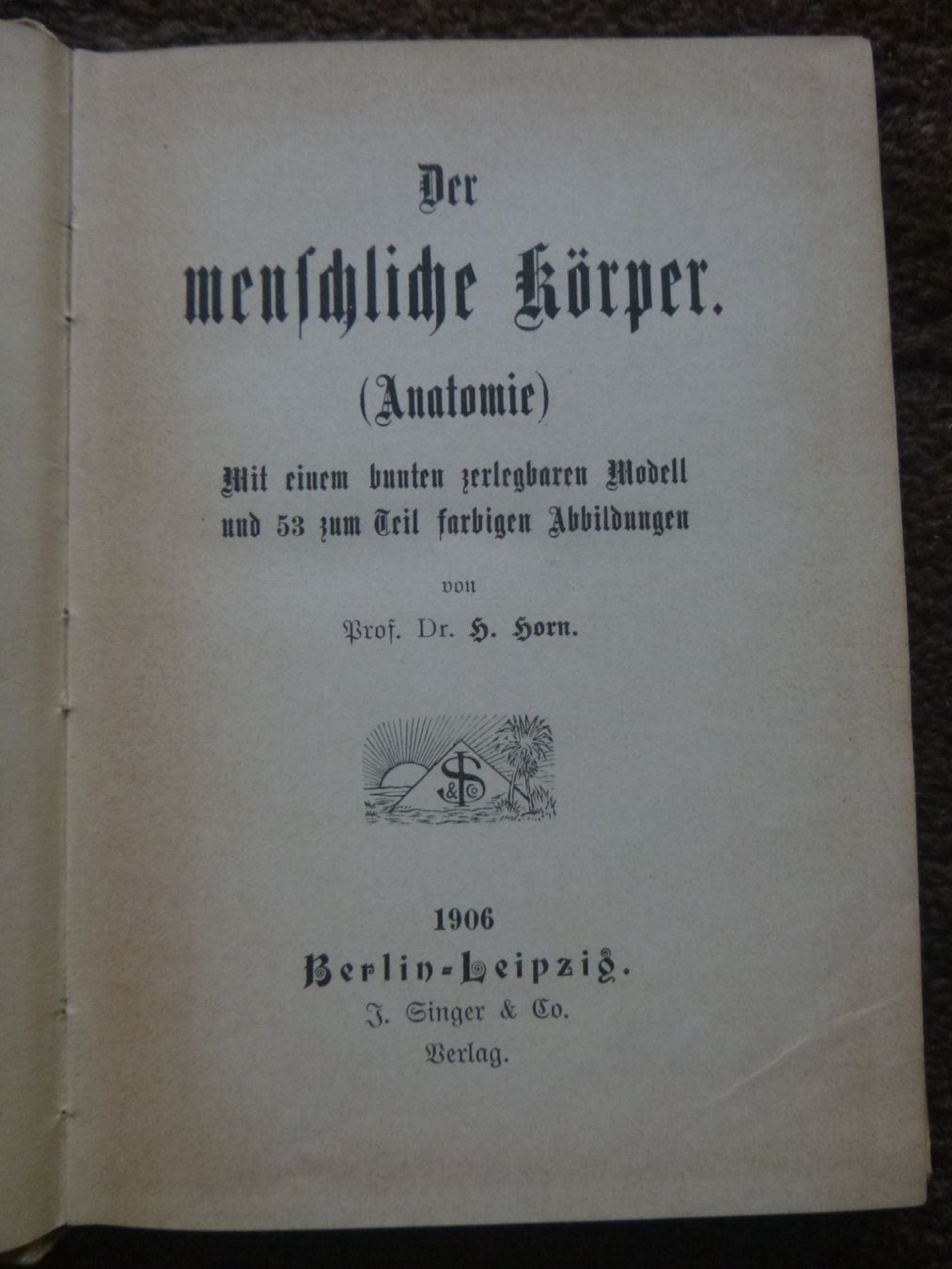Libri: Der menschliche Körper - Prof. Dr. Horn – Usato da Diessenhofen venduto da farbschatten 1
