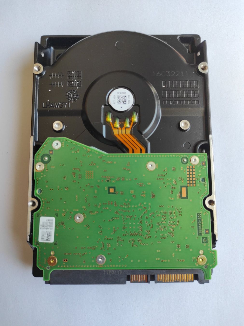 Western Digital Dischi rigidi: WD Red 10 TB WD100EFAX SATA 256 MB Cache – Usato da Niederwil AG venduto da ewa_k9zz 1