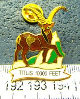 TITLIS STEINBOCK 10000FET PIN