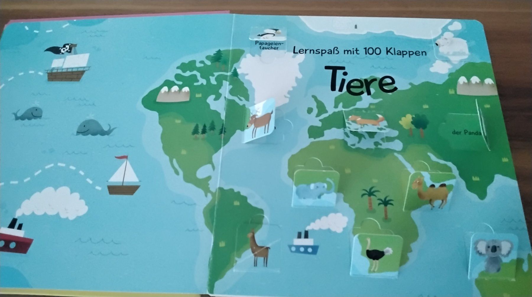 Libri: Tiere / Lernspass mit 100 Klappen – Usato da Steinhausen venduto da pinu09 1