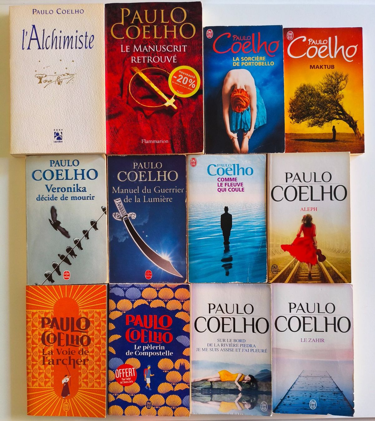 Libri: Lot de 12 romans de Paulo Coelho – Usato da Lausanne venduto da genybi