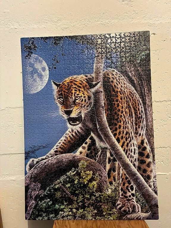 Puzzles: Ravensburger Puzzle 1000 Teile  Leopard – Gebraucht aus Altdorf UR von iva_j6gb
