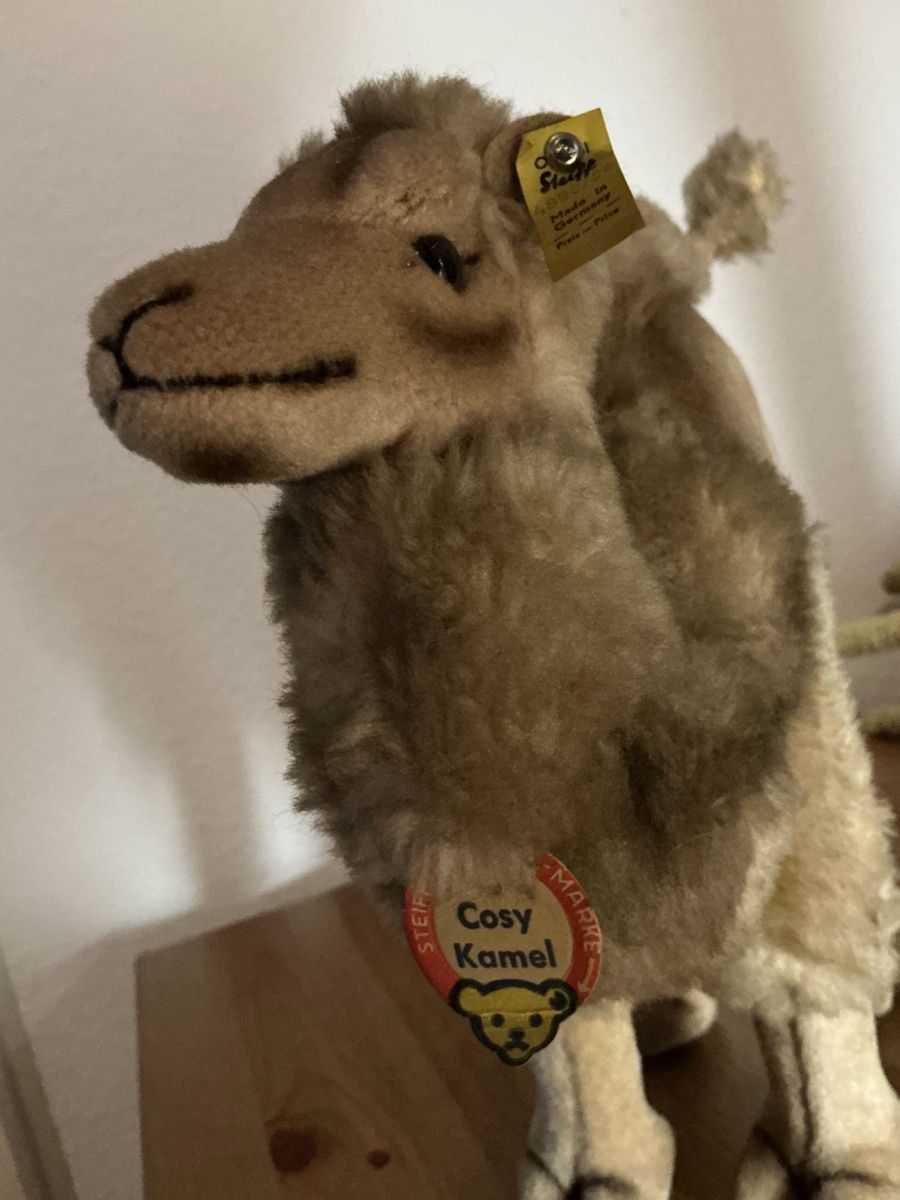 Steiff Giocattoli: Steiff Cosy Kamel Nr 4890/28 – Usato da Basel venduto da Ajscha7o1 4