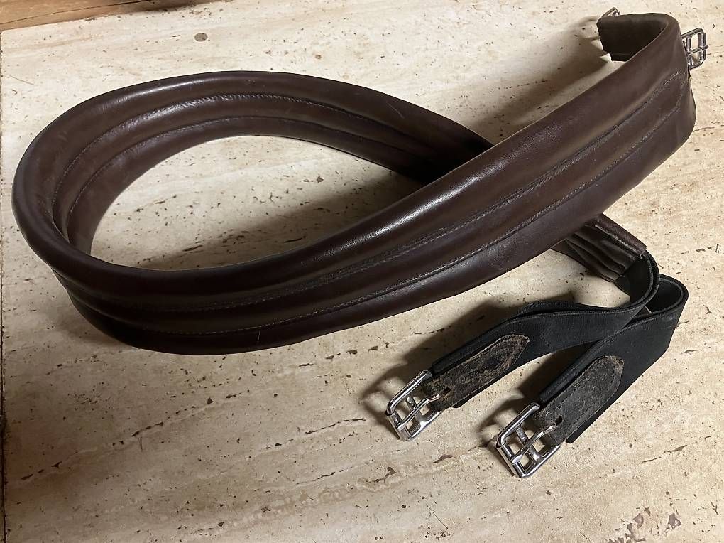 Sattel & Sattelzubehör: Stübben Ledersattelgurt 145cm – Gebraucht aus Kriessern von Gavin0201