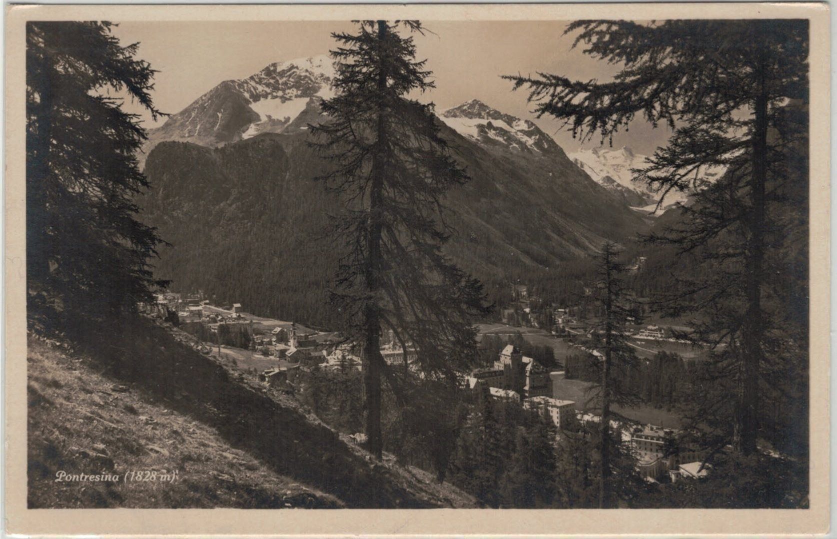 Cartoline postali: GR 72 Pontresina – Nuovo (secondo la descrizione) da Fribourg venduto da philafri