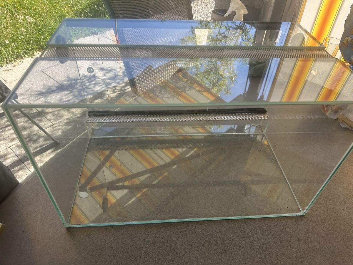 Terrario: Terrarium 30 x 50 x 30 – Usato da Wallenwil venduto da Jeanluc78 2