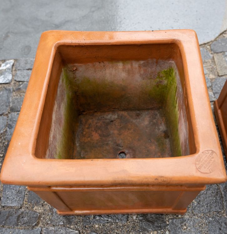 Terracotta Topf eckig Cuba Foglia Kaufen auf Ricardo