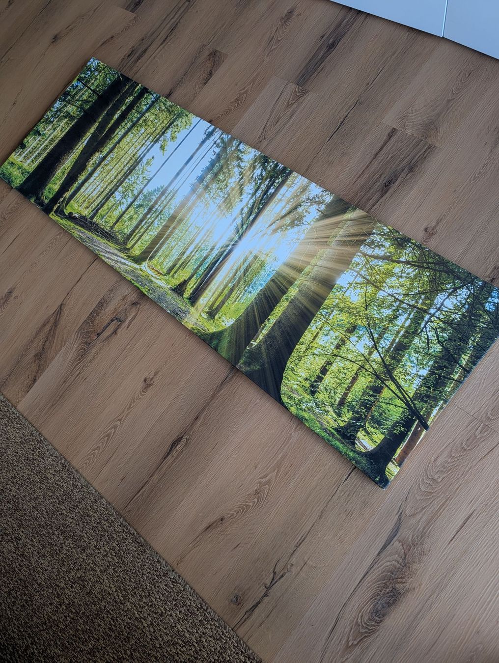 Foto & Immagini: Wandbild Wald mit Sonnenstrahlen – Usato da Glis venduto da chr_p9w5