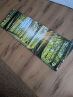 Wandbild Wald mit Sonnenstrahlen
