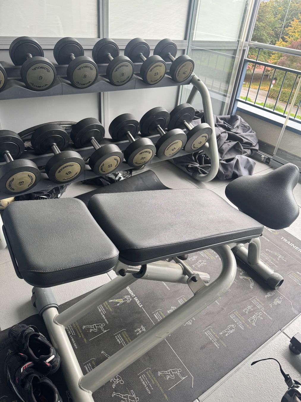 Technogym Dumbbell Set with Rack in excellent condition (D'occasion) à ...