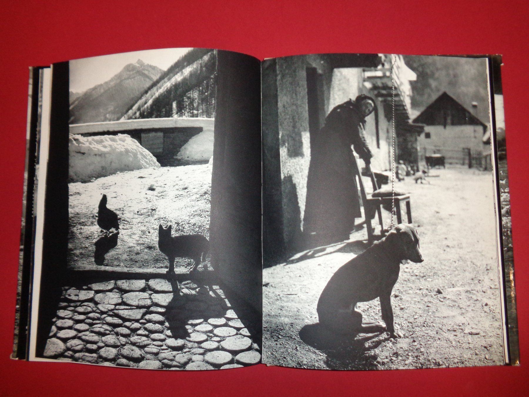 Libri: YVAN Dalain Fotobuch Le Queyras – Usato da Welschenrohr venduto da Regool 5