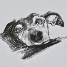 Profile image of radilio01