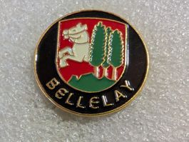 Ansteckpin 110: Bellelay