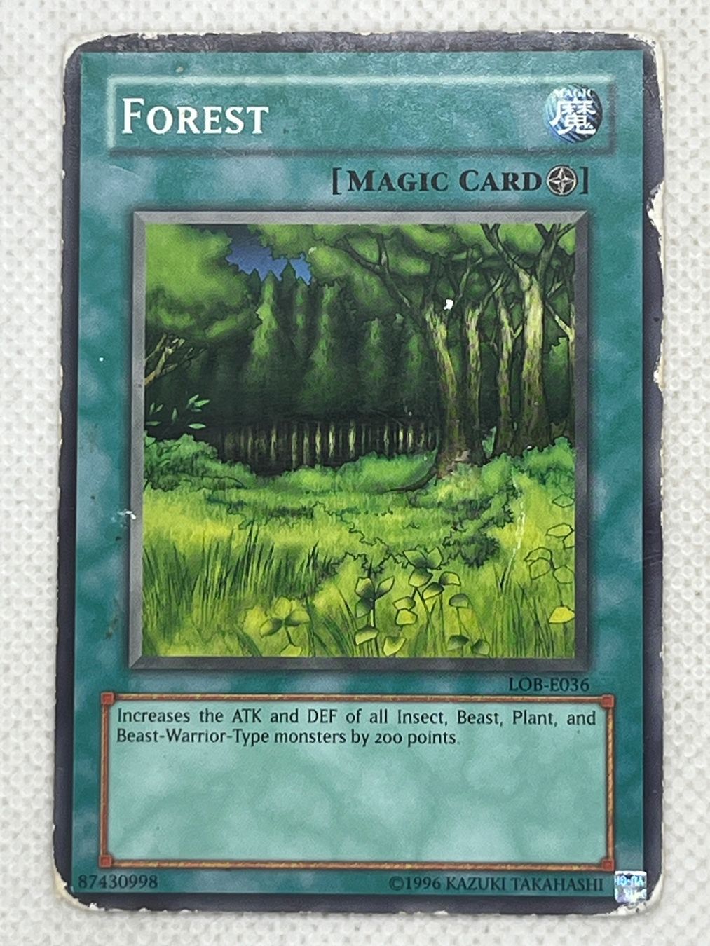 Yugioh Sammelbilder & Trading cards: Yu-Gi-Oh! Forest LOB-E036 Englisch Common – Gebraucht aus Hinterkappelen von Kim1992