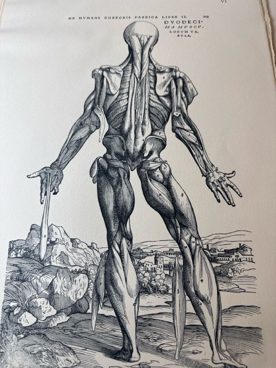 Libri: Le livre avec 9 planches anatomiques – Usato da Schmitten FR venduto da Hohezelg 2