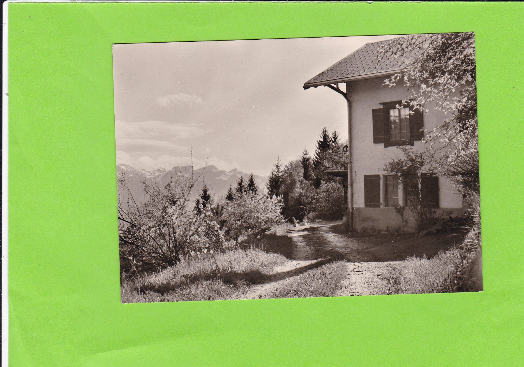 Cartoline postali: Chalet St. Martin, Ondallaz – Usato da St. Peterzell venduto da neckertal
