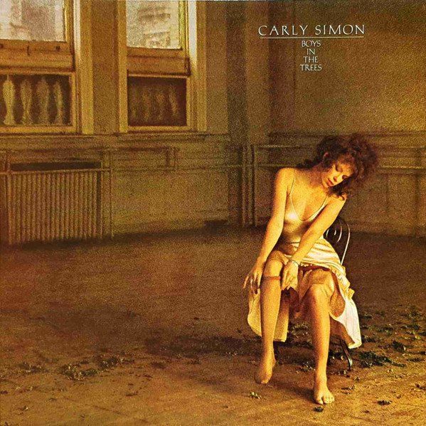 Dischi in vinile: Simon Carly: Boys In The Trees LP – Usato da Steinhausen venduto da Vilivinili