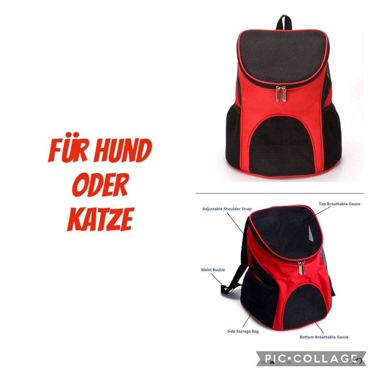 Sacs à dos: Katzenrucksack – Neuf avec emballage d'origine à Langenthal par flower101 2