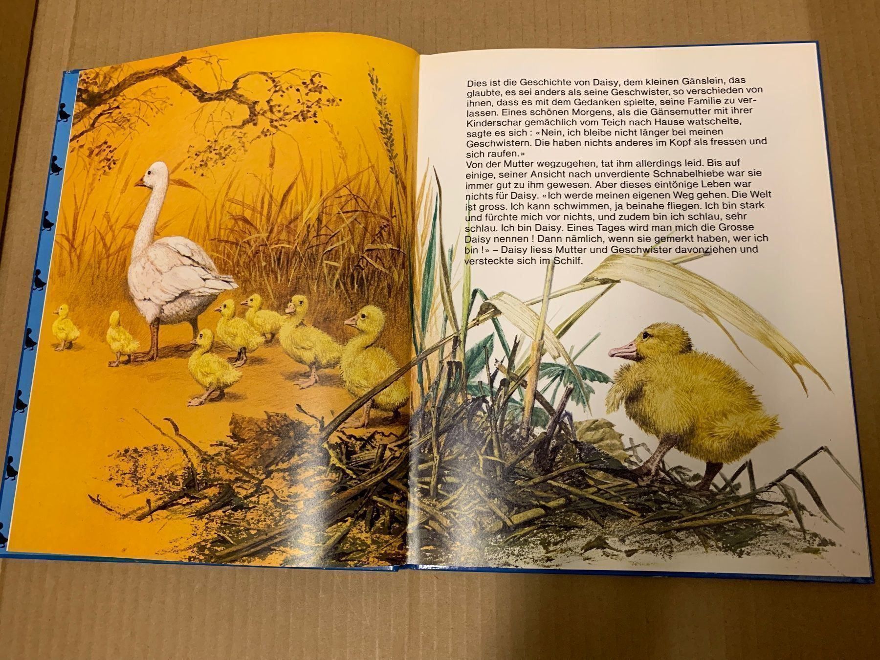 Bücher: Daisy das hochnäsige Gänslein (Buch) – Gebraucht aus Eschlikon TG von RamonaSt 2