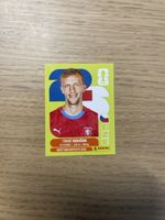 Panini FIFA WC CZE 12