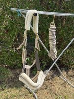 Halfter mit Führstrick für Pferde