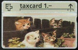 Taxcard 209L_02490 Katzen ungebraucht