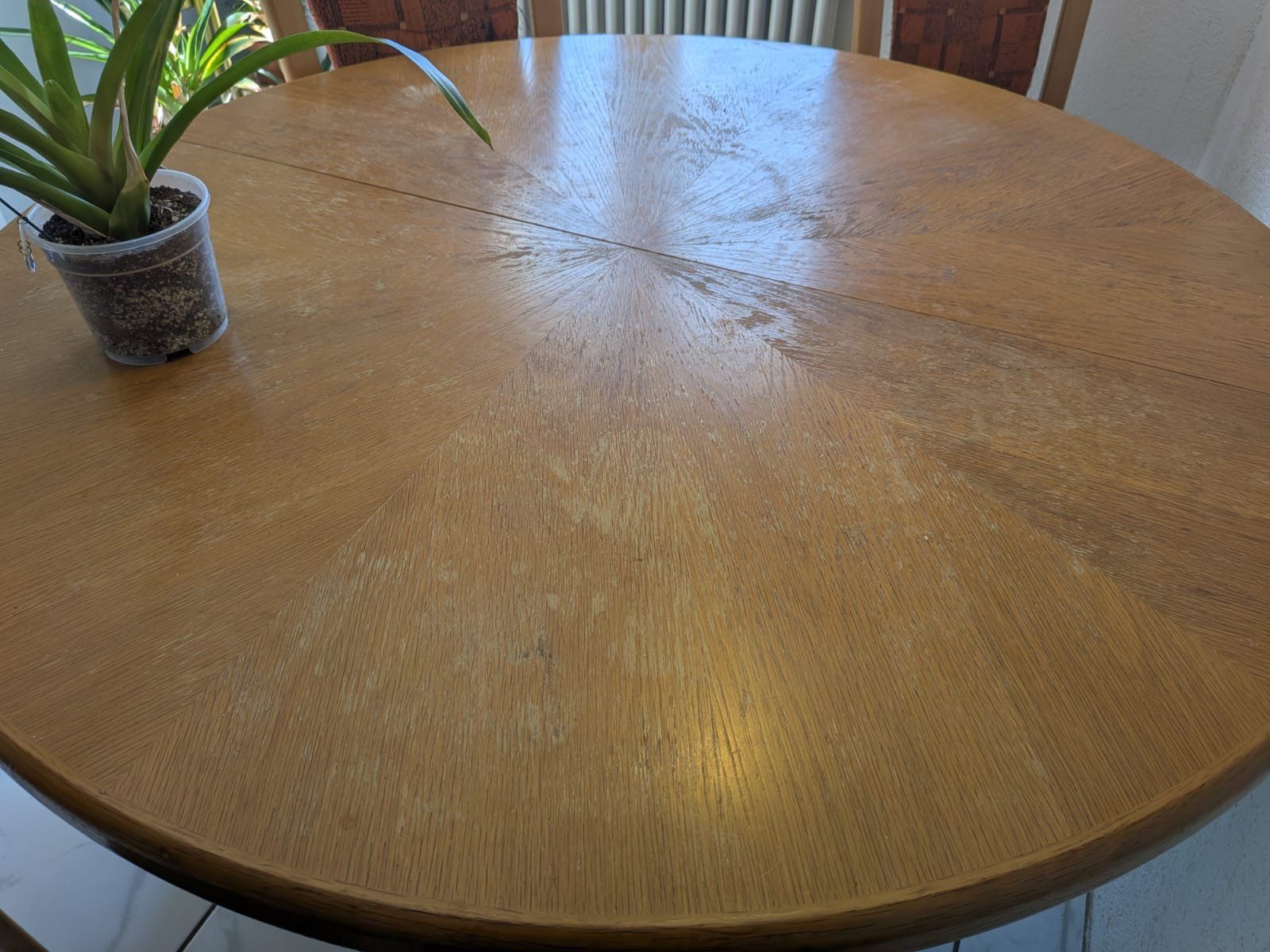 Tischset: GRATIS! Esstisch + 4 Stühlen / Dining Table + 4 Chairs – Gebraucht aus Schöftland von rsm_bq79 1