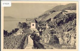 Twann am Bielersee - Rebberge