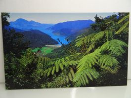 Neuseeland Postkarte Tennyson Inlet Marlborough Sounds