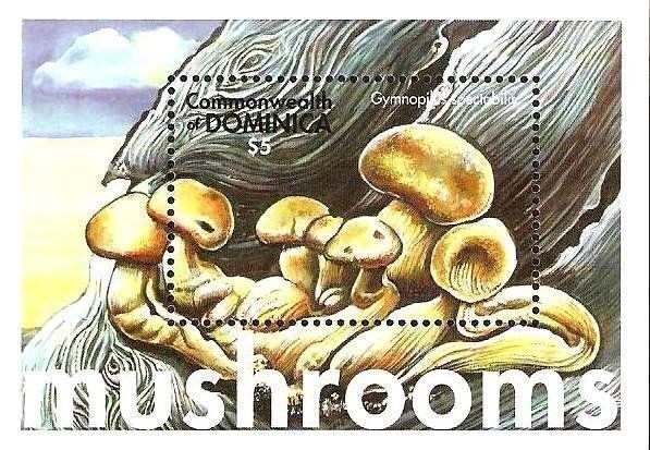Tous les timbres: Block "Pilze". Dominica. – Neuf avec emballage d'origine à Basel par Butsch5