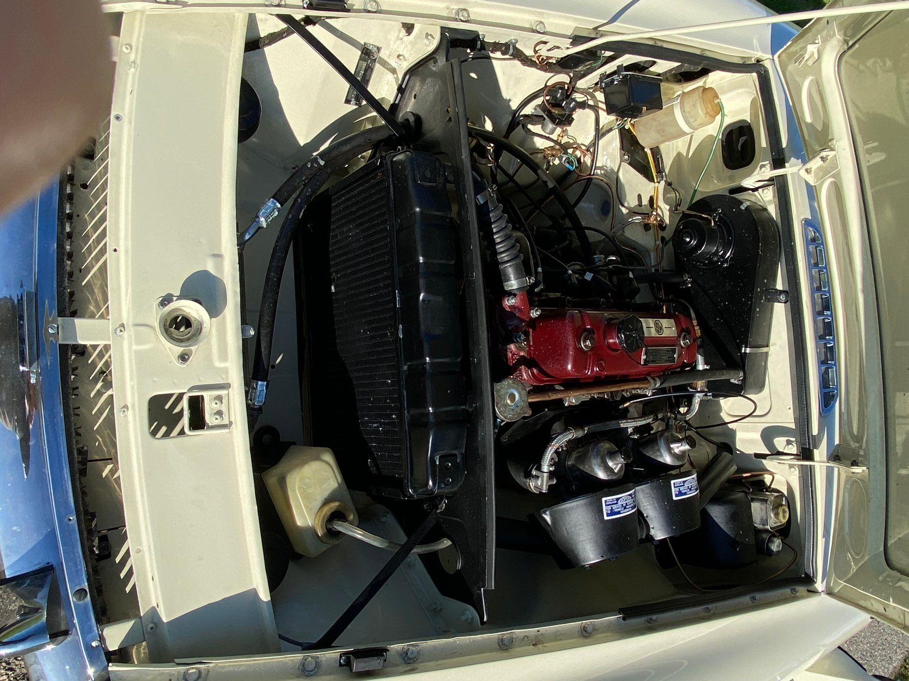 MG Automobili: MGB Roadster von 1965, Pull Handle neu aufgebaut – Usato da Hedingen venduto da mg1948_er 5