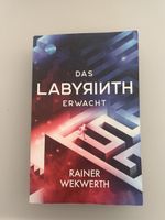 Buch Das Labyrinth erwacht Rainer Wekwerth Arena