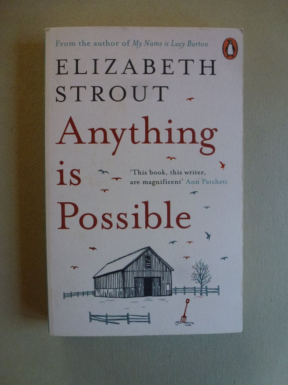 Bücher: Anything is Possible - Elizabeth Strout – Gebraucht aus Mühlrüti von Dadadachs