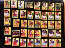 40 verschiedene Panini Sticker