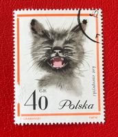 Briefmarken aus Polen  gestempelt.  Siehe Original Fotos. ﻿ 