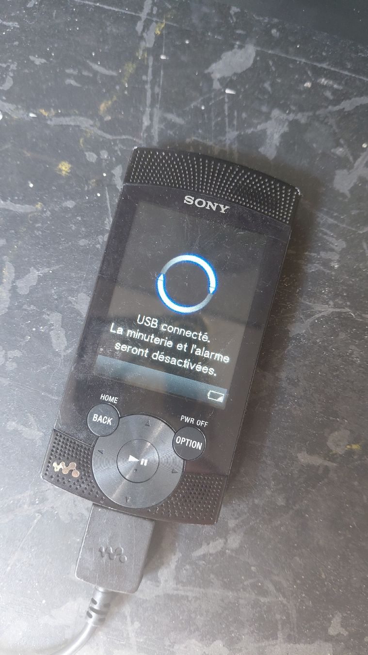Sony Lettore multimediale portatile: Sony walkman – Usato da Pringy venduto da mar_5tcq