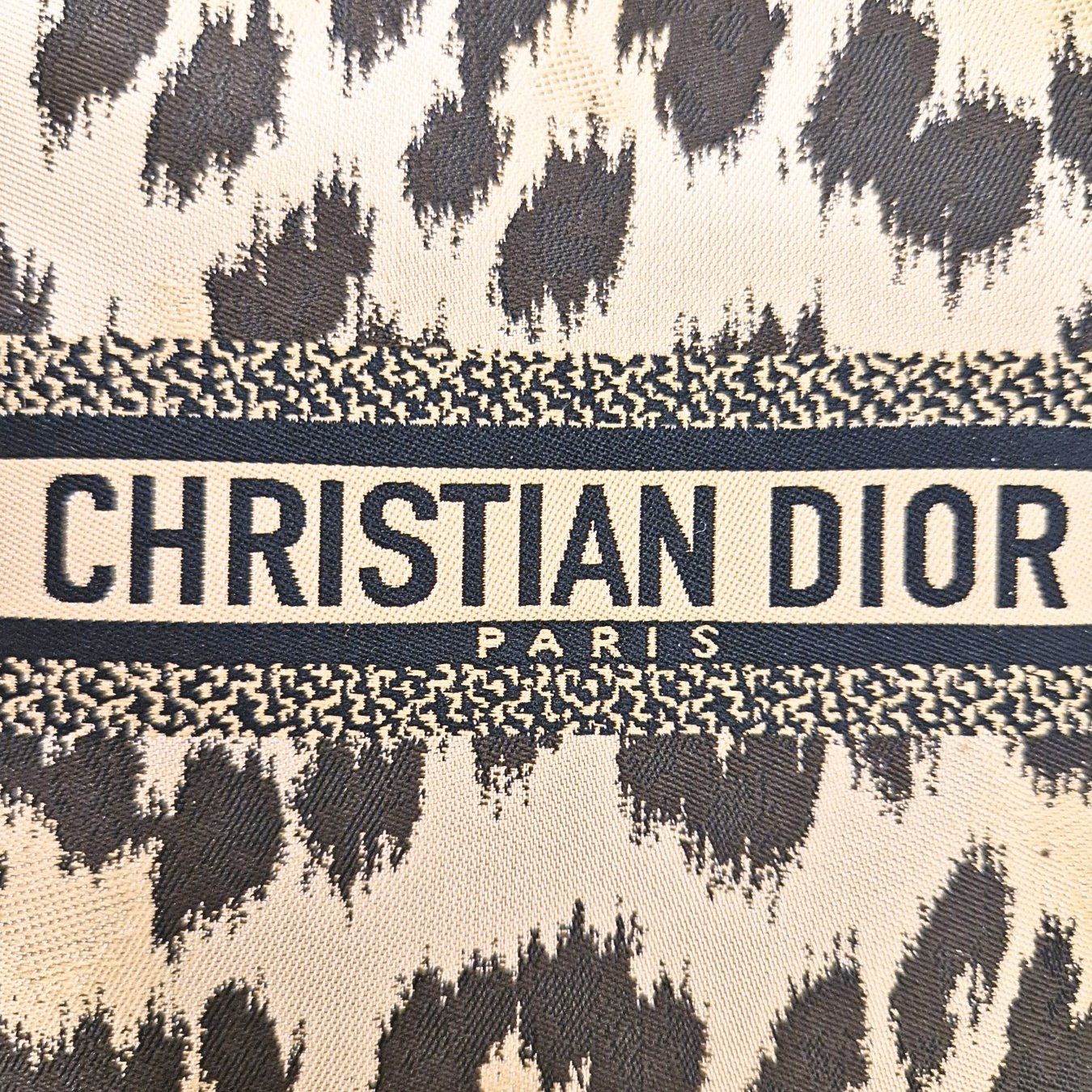 Dior Borse da donna: Christian Dior Mizza Leopard Canvas Multifunctional Pouch – Usato da Zürich venduto da Liloubags 6