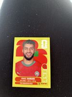 Panini MAR 15