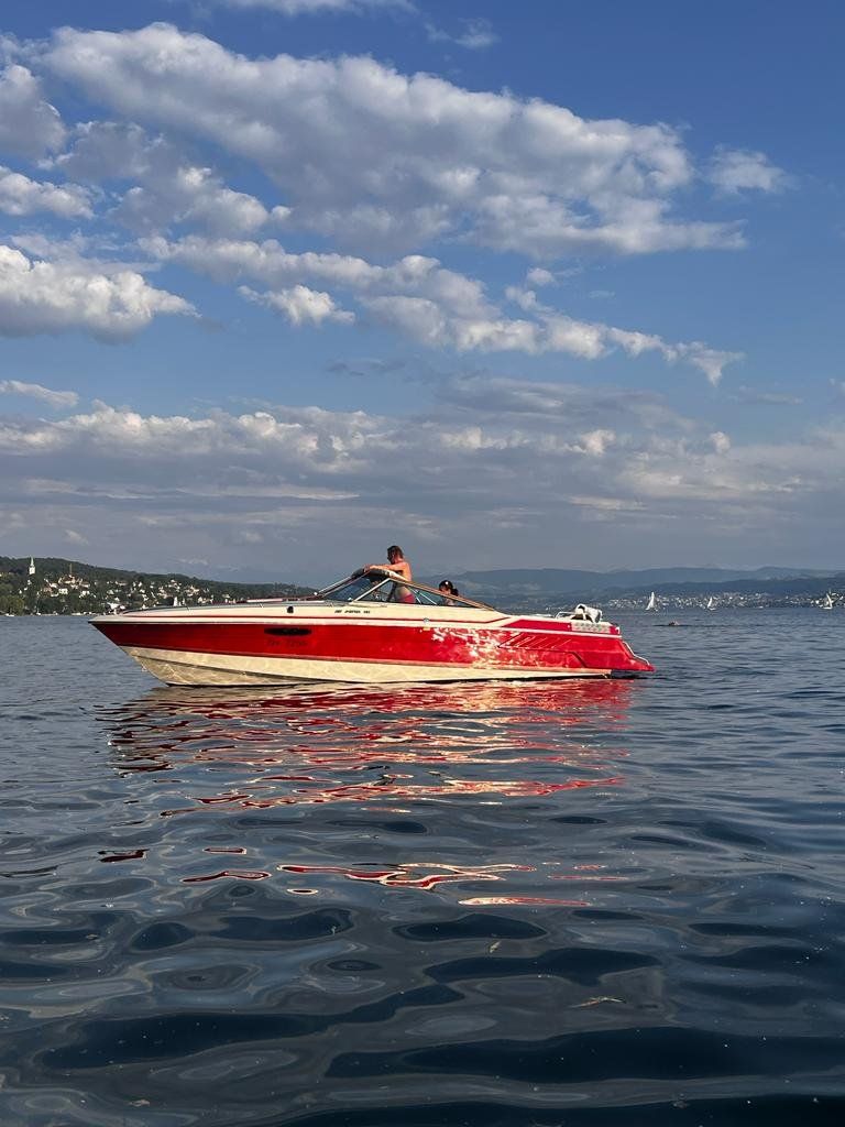Wellcraft Barche: Wellcraft 23 Nova XL – Usato da Illnau venduto da Stayon64