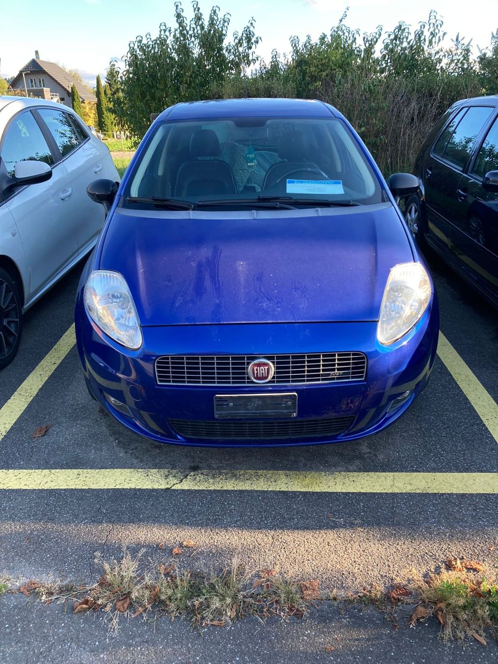 Fiat Automobili: Fiat Punto 1.4 Turbo – Usato da Frauenkappelen venduto da Autohaus-Bern