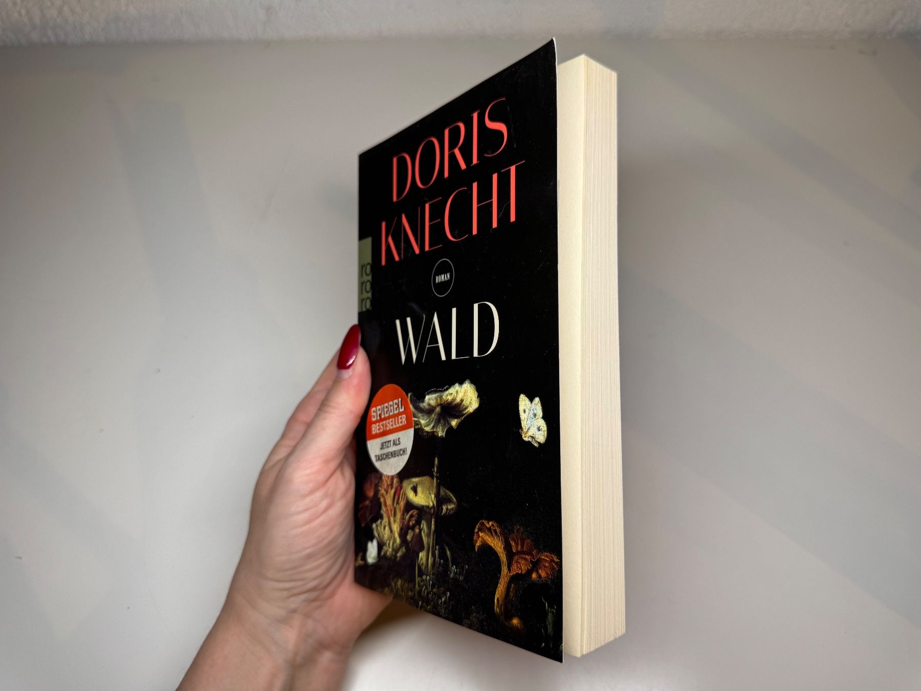 Libri: ROMAN: Doris Knecht, Wald – Usato da Grosswangen venduto da Deutsche_Romane 1