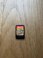 Minecraft / Nintendo Switch